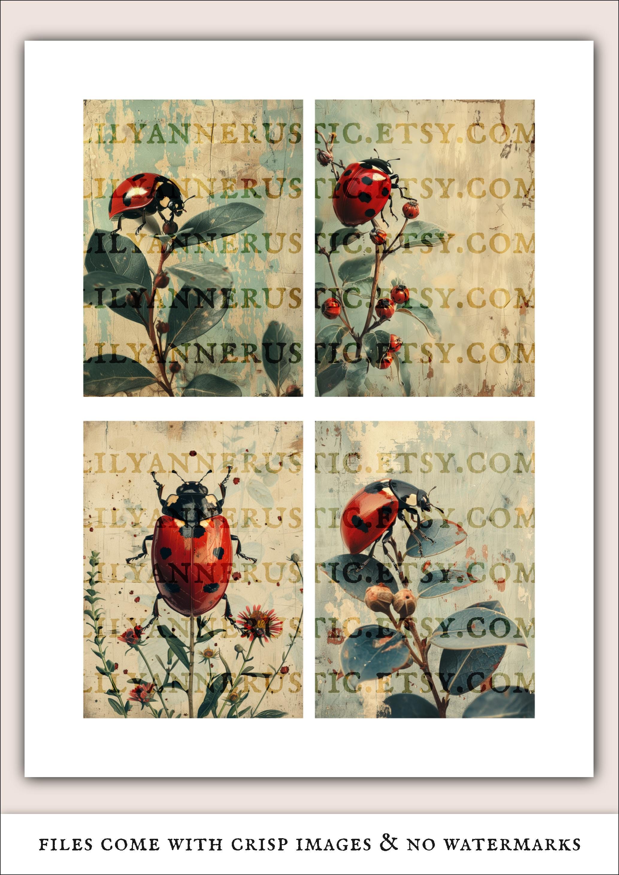 Ladybug Junk Journal Kit: Vintage Ephemera Collage Sheets – Digital ...