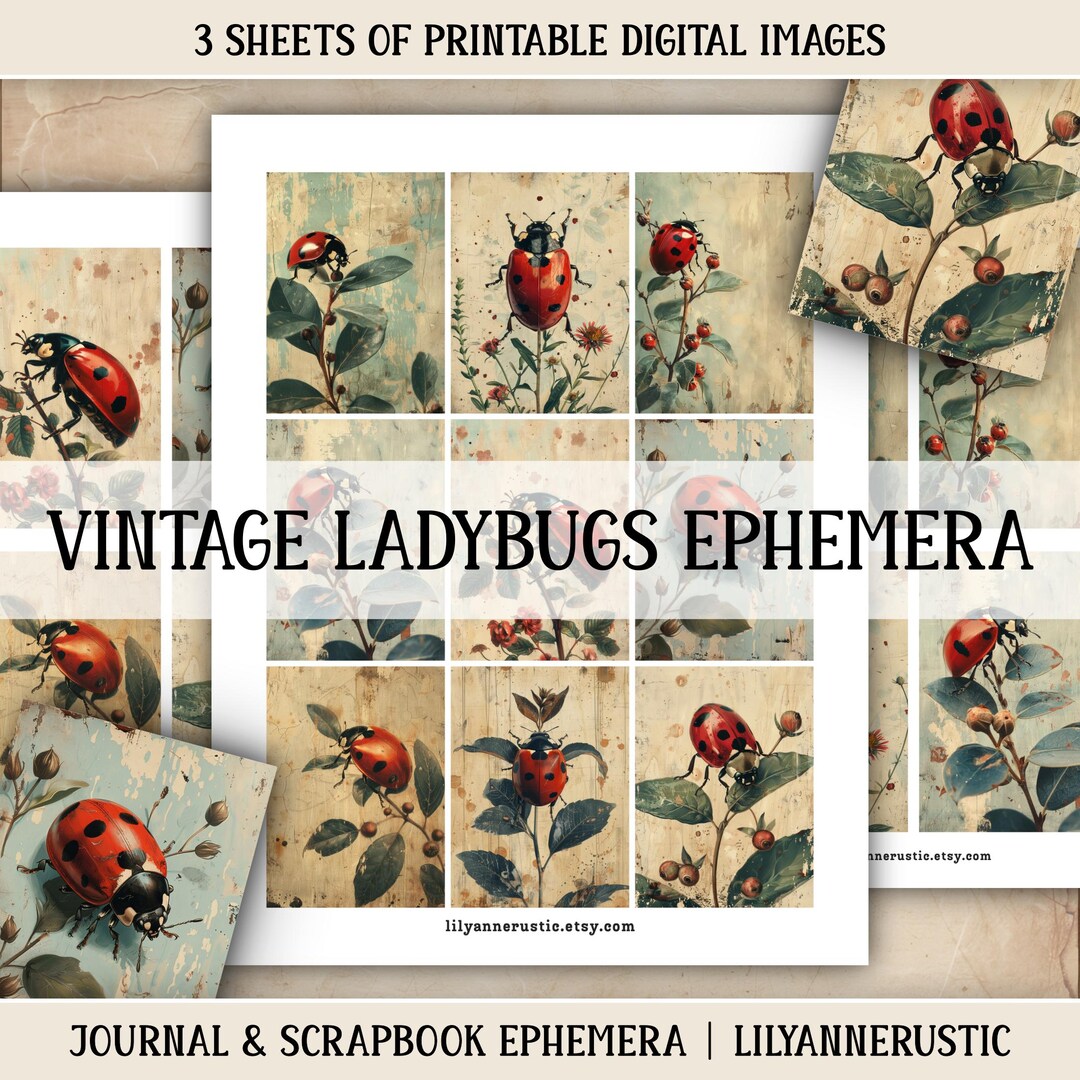 Ladybug Vintage Ephemera Junk Journal Kit Digital Download Printable ...