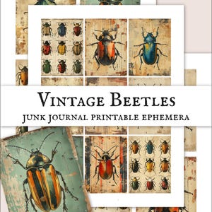 Vintage Beetle Ephemera Printable, Insect Junk Journal Pages, Entomology Collage Sheet, Mixed Media Scrapbook Paper, Grunge Bug Art Download