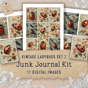 Kit diario di coccinella Junk Journal Vintage Ephemera Fogli di collage di coccinelle Immagini digitali da scaricare Carte per scrapbooking Carta digitale stampabile per coccinelle