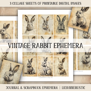 Kaninchen Junk Journal Kit Vintage Ephemera Scrapbooking Druckbare Hase Tier Collage Sheets Kaninchen Ephemera Vintage Digitales Papier