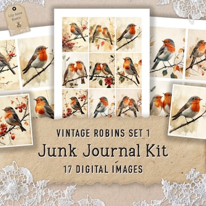 Robin Junk Journal Digital Vintage Bird Images Vintage Printable Robin Journal Ephemera Digital Printable Victorian Bird Scrapbook Papers