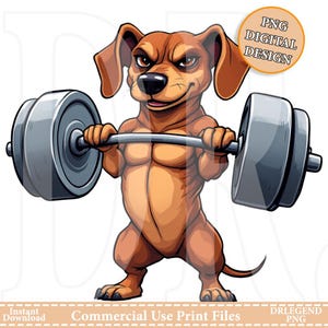 Muskularny Pies Podnoszący Ciężary, Siłownia Fitness Pies Cartoon Art, Silny Pies Miłośnik Siłowni Projekt, Zabawny Trening Pies Grafika, Kulturysta Pies PNG