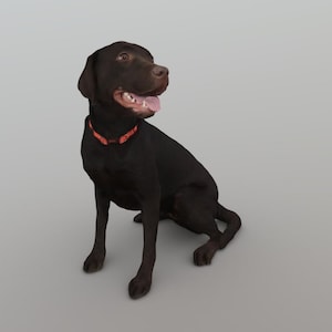 Black Dog Sitting 3D STL FILES