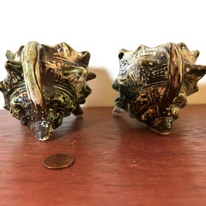 Vintage Keramik Muschelschale Sahne und Milch Set Souvenirs - Florida - Modern - mcm - Midcentury Modern