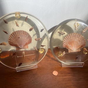 May include: Two clear round resin coasters with seashells embedded inside. The coasters are on clear acrylic stands. The larger coaster has a large scallop shell in the center and smaller seashells around it. The smaller coaster has a smaller scallop shell in the center and smaller seashells around it.