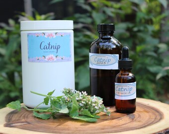 Catnip Tincture, Organic Catnip, Herbal Tincture, Organic Tincture, Catnip Extract, Herbal Extract