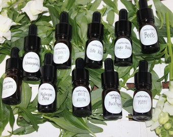 10 Tinctures, ESSENTIAL Sample sizes Herbal extracts, Apothecary GIFT SET, wellness, tincture for support, supplement