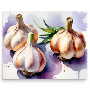 Garlic Painting Vegetables Watercolor Art Print Garlic Still Life Wall Art Farmhouse Kitchen Wall Decor White Green Wall Art