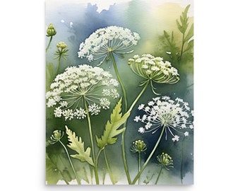 May include: Watercolour painting of white Queen Anne's Lace flowers with green stems and leaves against a blue and green watercolour background.