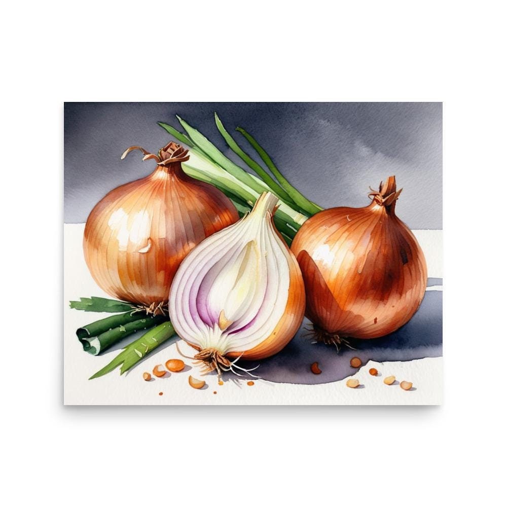 絵画　『玉ねぎ』 日本画(19)玉ねぎ2