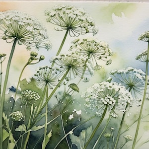 Queen Anne&#39;s Lace Painting Wildflowers Watercolor Art Print Flowers Meadow Wall Art Botanical Artwork Watercolor Art Earth Tone Floral Print