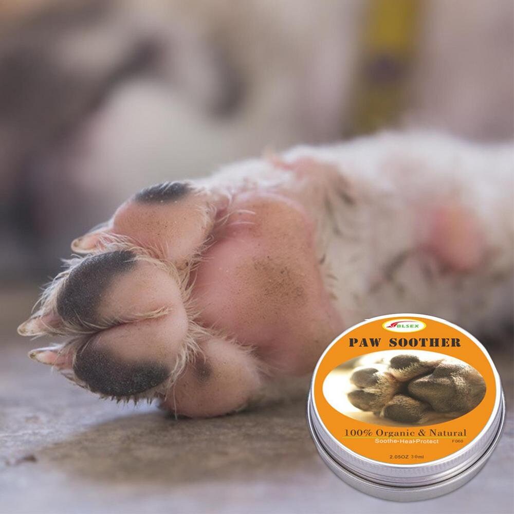 Dog paw healing cream online