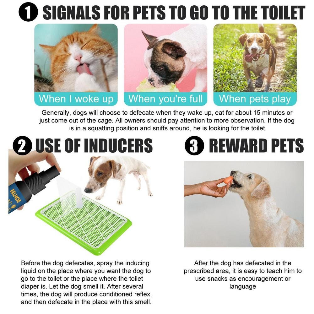 Dog Pee Spray Training 30ml Poop Spray for Dog Training Puppy