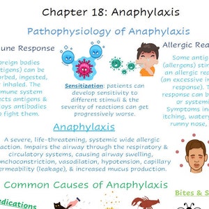 Op de afbeelding: Educatieve infographic over anafylaxie, met details over immuunrespons, allergische reacties en veelvoorkomende oorzaken. De tekst bevat medische terminologie en illustraties van de reactie van het lichaam op allergenen. De titel luidt "Hoofdstuk 18: Anafylaxie."