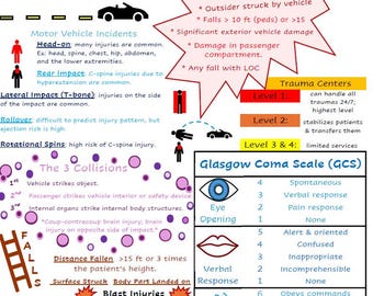 EMT Notes Bundle