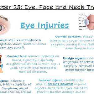 May include: A diagram of the human eye with labels for the cornea, iris, pupil, sclera, and optic nerve. The text below the diagram describes different types of eye injuries, including chemical burns, corneal abrasions, foreign objects, and impaled objects.