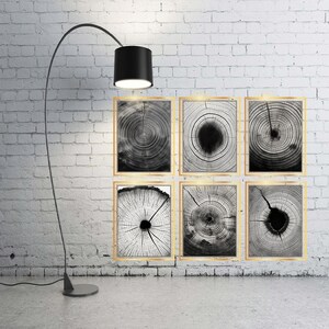6 Tree Rings Prints Set Bundle,  Tree rings, Modern Abstract Art, Woodcut print,  Black & white tree rings, Three Panel Wall Art, Forestry