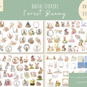 Forest Bunny Goodnotes Stickers|Everyday Digital Stickers|Rabbit Digital Planner Sticker|Easter April Goodnotes Stickers|Bunny iPad Stickers