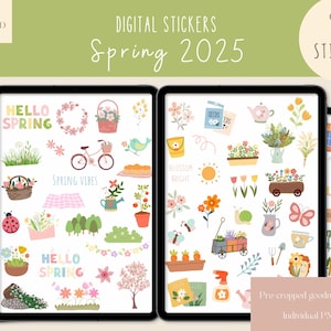 Spring 2025 Goodnotes Stickers|Everyday Digital Stickers| Minimalist Digital Planner Sticker|Floral Goodnotes Stickers |Spring iPad Stickers