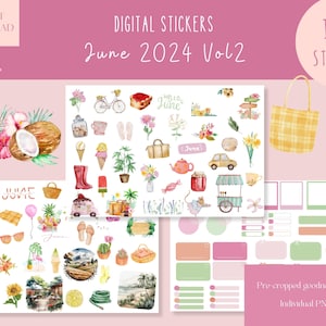 June 2024 Vol2 Goodnotes Stickers|Everyday Digital Stickers| Digital Planner Sticker|Floral Goodnotes Stickers |Summer iPad Stickers