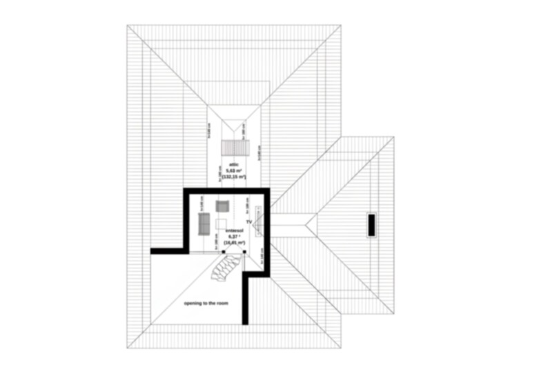 Attic floor plan with functional layout including a lounge area and storage space. Designed for optimal use of roof space in modern house plans. Perfect for creating additional living or recreational areas.