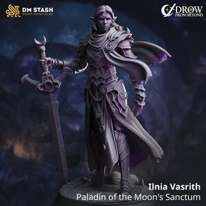 May include: A detailed 3D-printed figurine of Ilina Vasrith, Paladin of the Moon's Sanctum, holding a large sword. The figure is clad in ornate armor with a flowing cape. The figurine has a crescent moon symbol on the forehead. The logos for DM Stash and Drow From Beyond are visible.