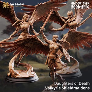 May include: Three brown Valkyrie Shieldmaidens figurines with large feathered wings, holding weapons and shields. The figurines are from the "Shadow Over Nordheim" collection, with the text "Daughters of Death" and "Valkyrie Shieldmaidens" at the bottom.