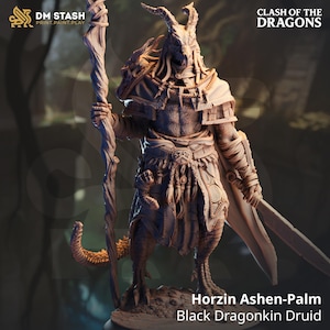 Horzin Ashen Palm, Black Dragonkin Druid - Clash of the Dragons - DMStash 3D Printed Miniature - 32mm Scale