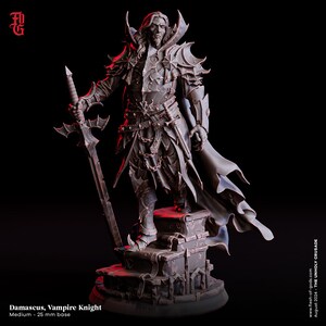 May include: A detailed figurine of Damascus, the Vampire Knight, stands on a stone base. The figure is clad in ornate armor and holds a large sword. The color palette is primarily dark gray with red accents, creating a gothic aesthetic. The base is 25 mm.