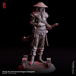 Pode incluir: Uma miniatura pintada de cinza de um guerreiro usando um chapéu cônico e segurando uma espada. A miniatura está em pé sobre uma pequena base com textura de madeira. O texto "Cheng Pei, Downward Dragon Champion" está impresso abaixo da miniatura.