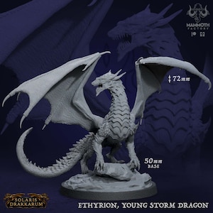 May include: Grey plastic miniature of a young dragon with wings spread, standing on a rock base. The dragon is 72 mm tall and the base is 50 mm in diameter. The miniature is labelled "Ethyrion, Young Storm Dragon".
