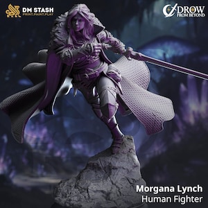 May include: A detailed figurine of Morgana Lynch, a Human Fighter, poised in a dynamic action pose. The figure is predominantly purple, with intricate armor and flowing cape. The base is a rocky outcrop. Logos for DM Stash and Drow From Beyond are visible.