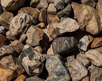 Box of Rocks (5+ lb) from Black Hills & near Badlands, SD. Mixed Lot of Quartz, Agates, Jaspers, Chalcedony, and more!