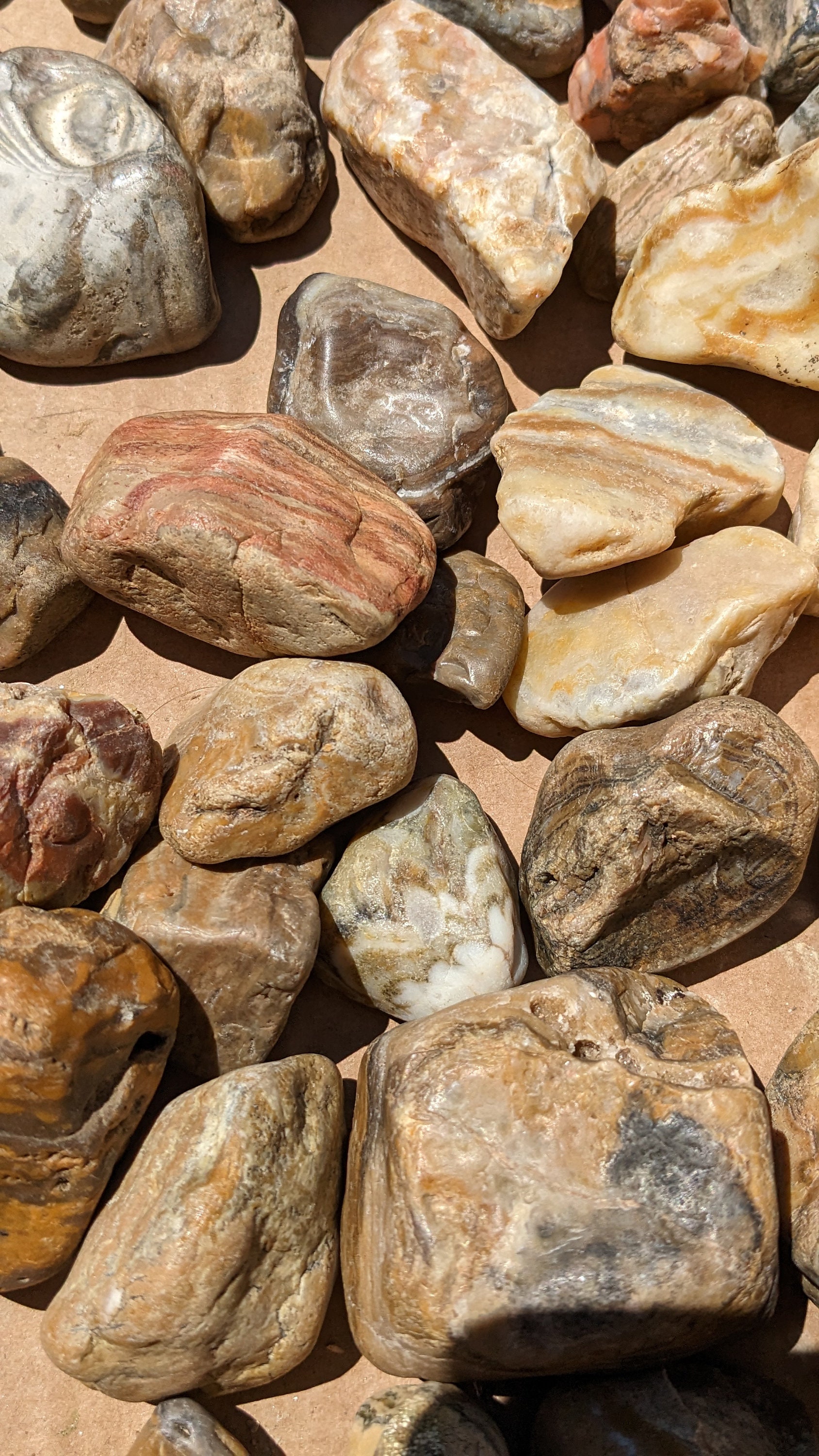 Prairie Agates small to Medium Size, 2 Lb From Near the Badlands and