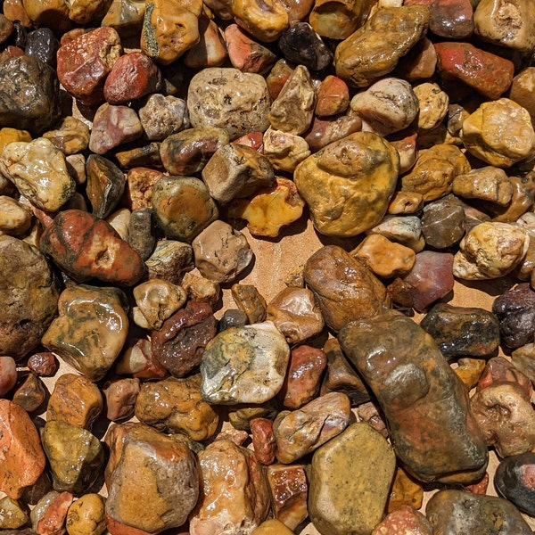 Bubblegum Agates (All sizes, 2 lb) from near the Badlands & Prairie of South Dakota. (Gum or Eye Agate). Beautiful colors and funky shapes!