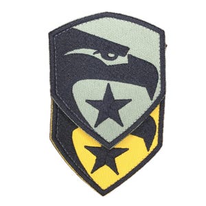 May include: Two embroidered patches. The top patch is a light green pentagon shape with a black eagle head and a black star. The bottom patch is yellow with a black star and a black eagle head.