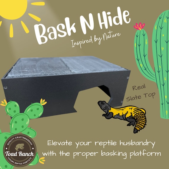 Reptile Bask N Hide