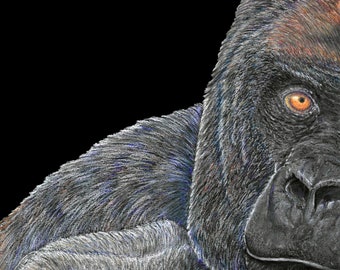 Gorilla Note Card - Pack of 5