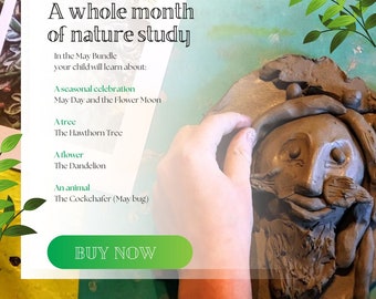 NATURE CURRICULUM | nature study bundle | nature study pack | Charlotte Mason | Homeschool | printable | Spring activities | nature crafts|