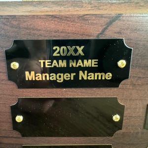 Fantasy Football Trophy Perpetual Plate