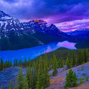 Der Peyto Lake im Banff National Park wurde auch als &#39;Wolf Head&quot; Lake bezeichnet und Sie können sehen, warum!