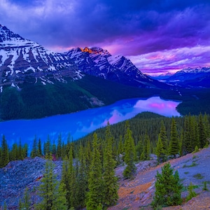 Der Peyto Lake im Banff National Park wurde auch als &#39;Wolf Head&quot; Lake bezeichnet und Sie können sehen, warum!