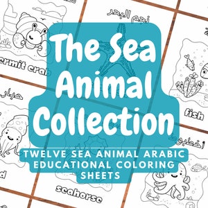 Puede incluir: Doce páginas para colorear en blanco y negro con animales marinos, incluyendo un cangrejo ermitaño, un calamar, un pez, un caballito de mar y un pulpo. Cada página incluye los nombres en inglés y árabe del animal.