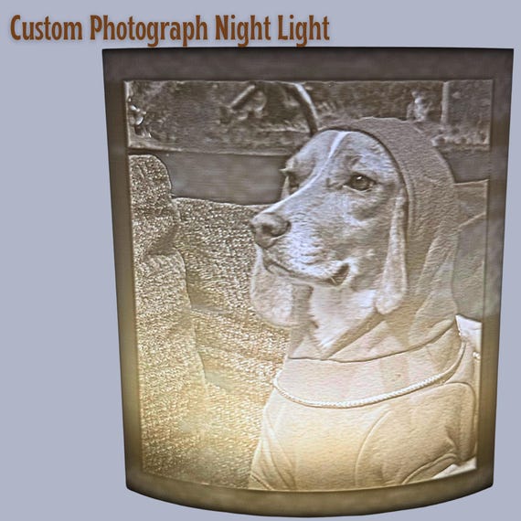 Personalized Pet Gift Dog Mom Gift Custom Pet Light Dog Lover Gift Pet Photo Night Light LED Custom Dog Portrait Memorial Present Decor