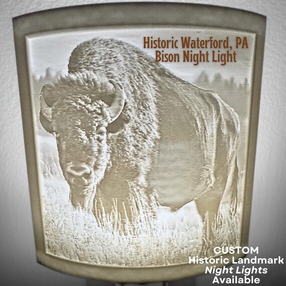 LED Night Light Bison Mascot Fort LeBoeuf School Gift History Gift Home Decor Waterford PA Ambient Light 3D Lithophane Teacher History Buff