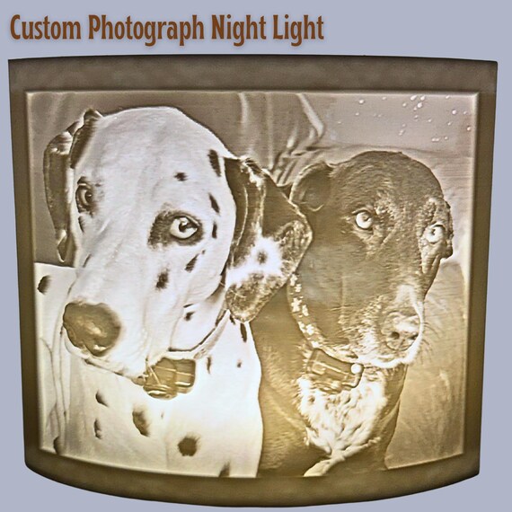 Personalized Pet Gift Dalmation Mom Custom Pet Light Dog Lover Gift Pet Photo Night Light LED Custom Dog Portrait Memorial Present Decor