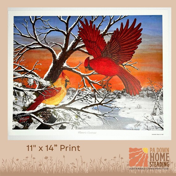 Cardinal Art Print Winter Scene Wildlife Wall Framed Picture Forest Rustic Decoration Bird Illustration Nature Enthusiast Gift Idea Outdoor