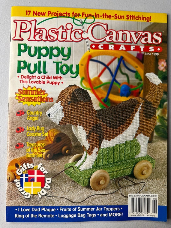 Plastic Canvas crafts summer coaster set dad plaque jar toppers puppy pull toy bath set dad sign remote holder June 1999