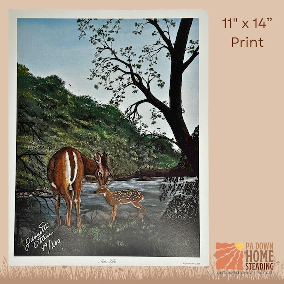 Deer Woodland Print Rustic Cabin Wall Art Wildlife Illustration Forest Scene Nature Painting Majestic Deer Family Forest Art Fawn Doe